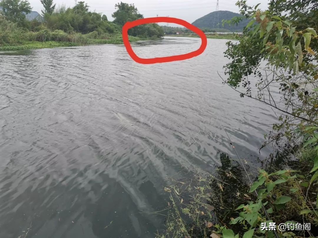 鱼钩单钩与双钩哪个中鱼率高,野钓双钩几号钩好用