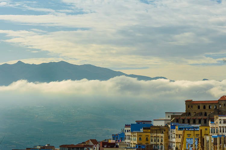 梵高只会画画吗,梵高画画不注重结构