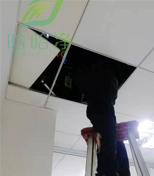 重庆灭鼠服务报价,重庆灭鼠公司哪家强