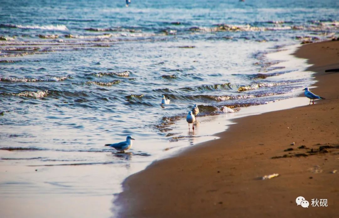 北戴河房车自驾游攻略,南戴河房车自驾游
