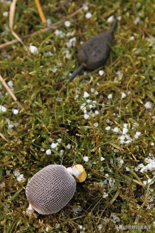 外国人钓鱼打窝技巧,老外用超大饵钓鱼