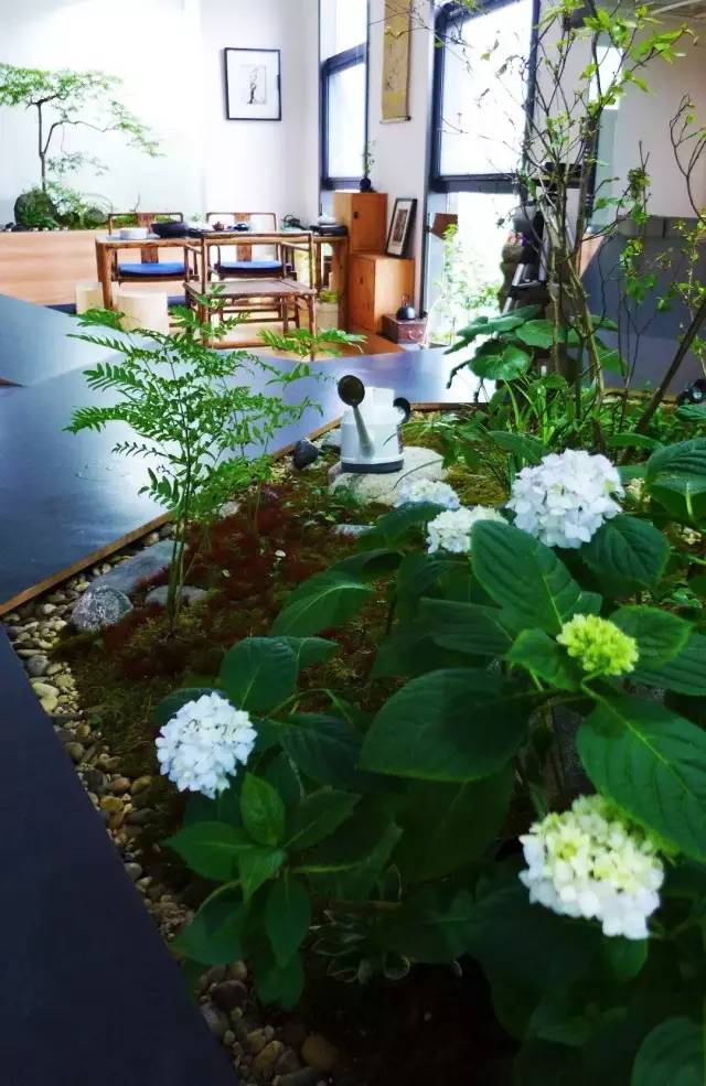 园林式办公区效果图,办公区花园景观设计