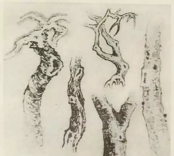 怎样画树画得好看,怎么画树最简单而且还最好看