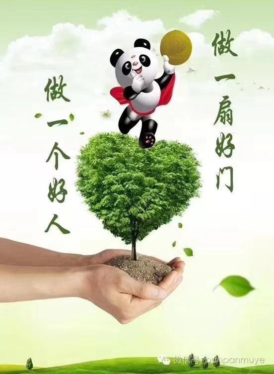 盼盼木门的讲解和介绍,盼盼木门装好效果图