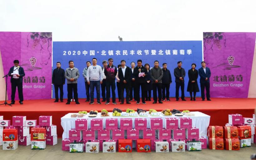 锦州资讯详情,辽宁省锦州新闻今天