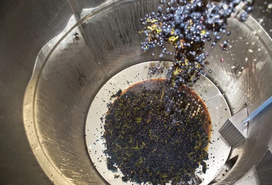 自己酿造葡萄酒的做法,探秘德国葡萄酒庄