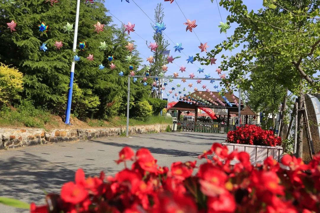 旅顺景点优惠券怎么领取,旅顺哪些景点可以用消费券