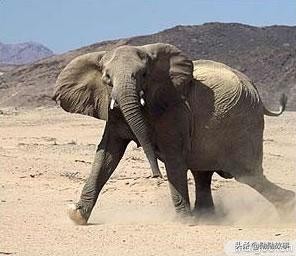 历史上十大最恐怖的实验,历史上惨无人道的实验