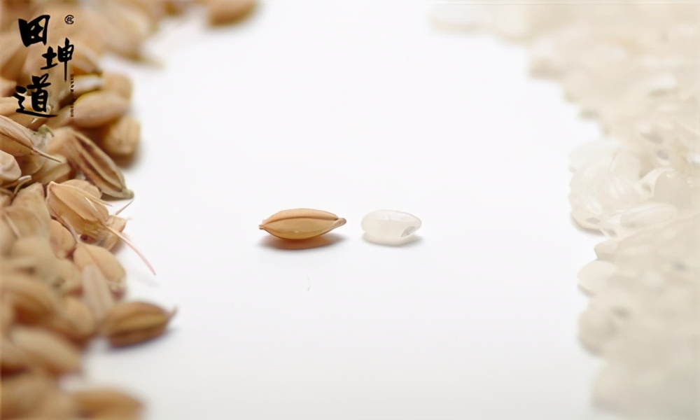 开一个粮油店怎么投资,开一家粮油店怎么办理手续