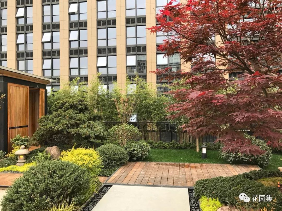 园林式办公区效果图,办公区花园景观设计