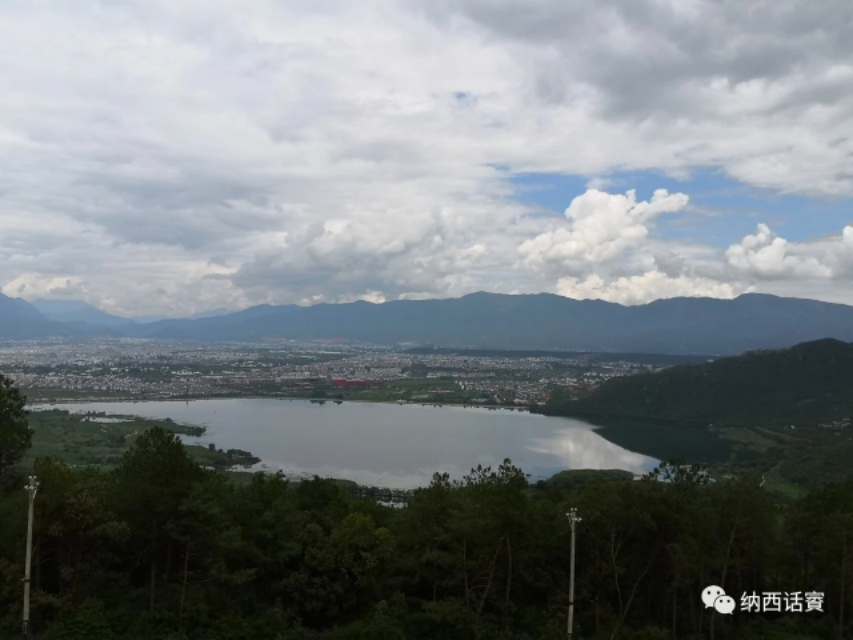 云南丽江杨杰宏,杨杰宏柔术