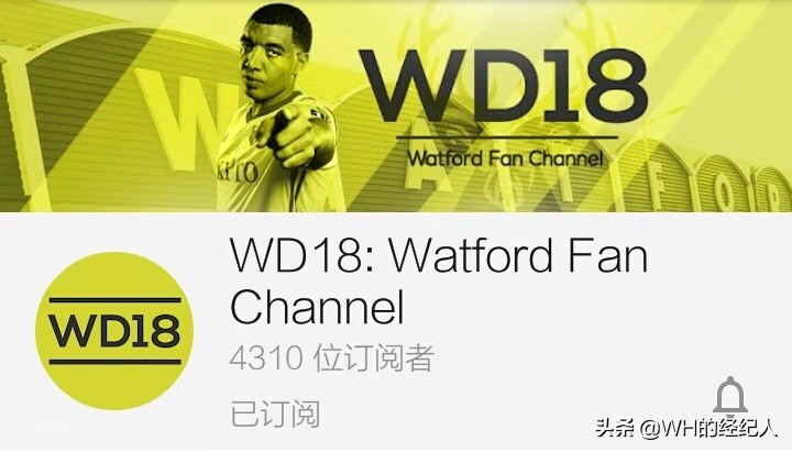 英超球迷数,英超20球队