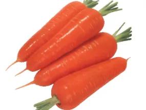 白衣服发黄洗白小窍门,白衣服油渍发黄洗白小窍门