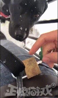 爆笑GIF趣图:美女,这射的是丘比特之箭吧