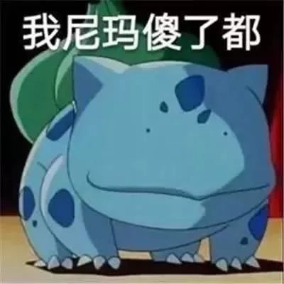 双十一现货猫粮,双十一猫粮预购