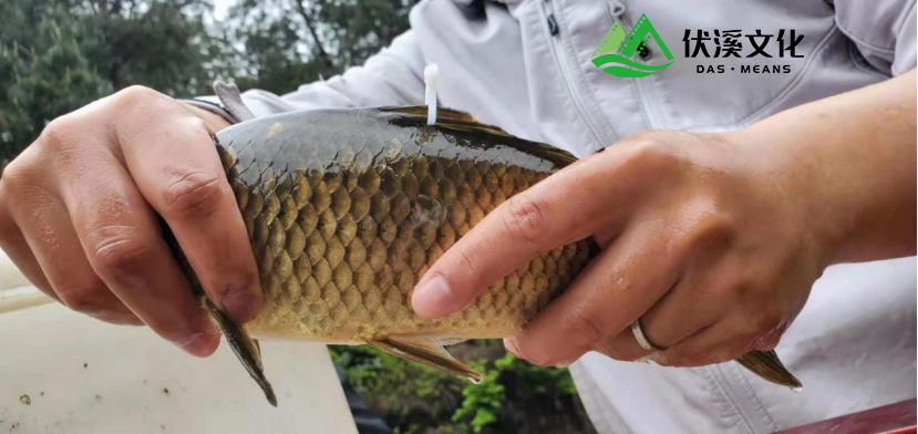 单挑百斤鱼，渔乐大明星浏阳开钓