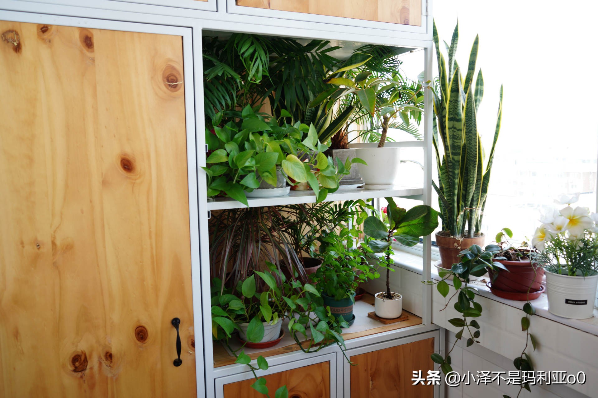 实木家具保养小知识,实木家具保养与修复