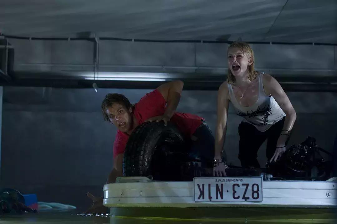 鲨口逃生电影大全,关于鲨口逃生的电影完整版