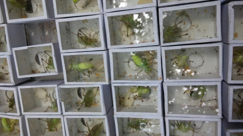 只有西安人知道的地方,只有西安人才知道的回民街