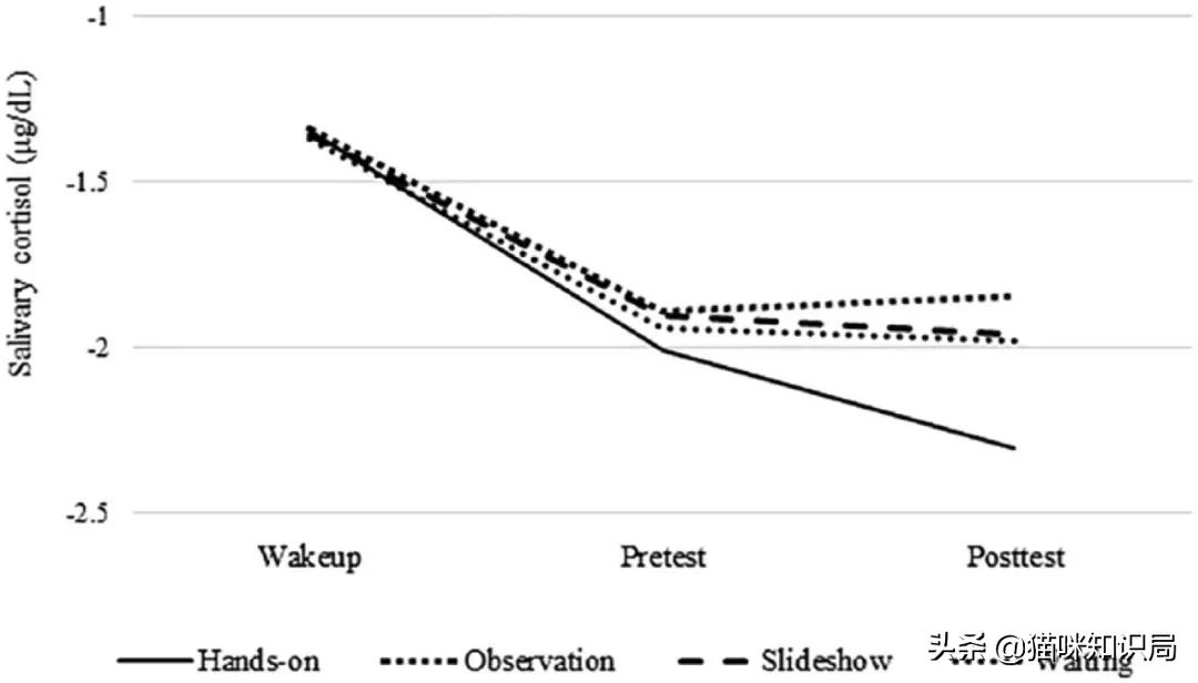 转发给爸妈：养猫到底有啥好？能治病