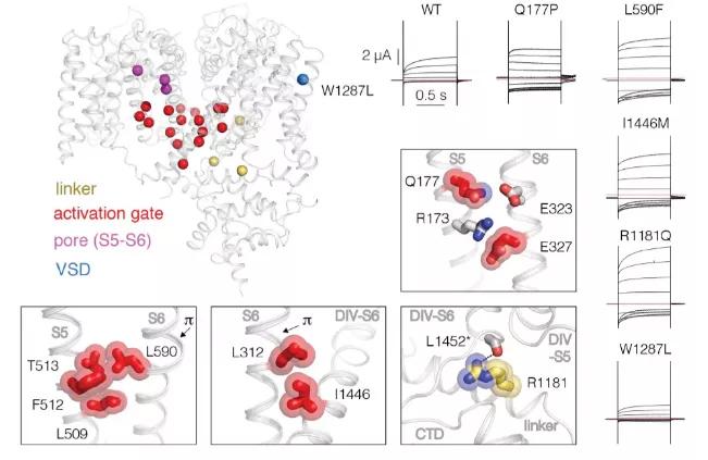 脑科学药物,脑科学日报恶性肿瘤微环境分析