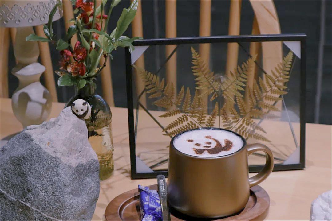 成都周边安静露营民宿好去处,成都周边三小时山野民宿