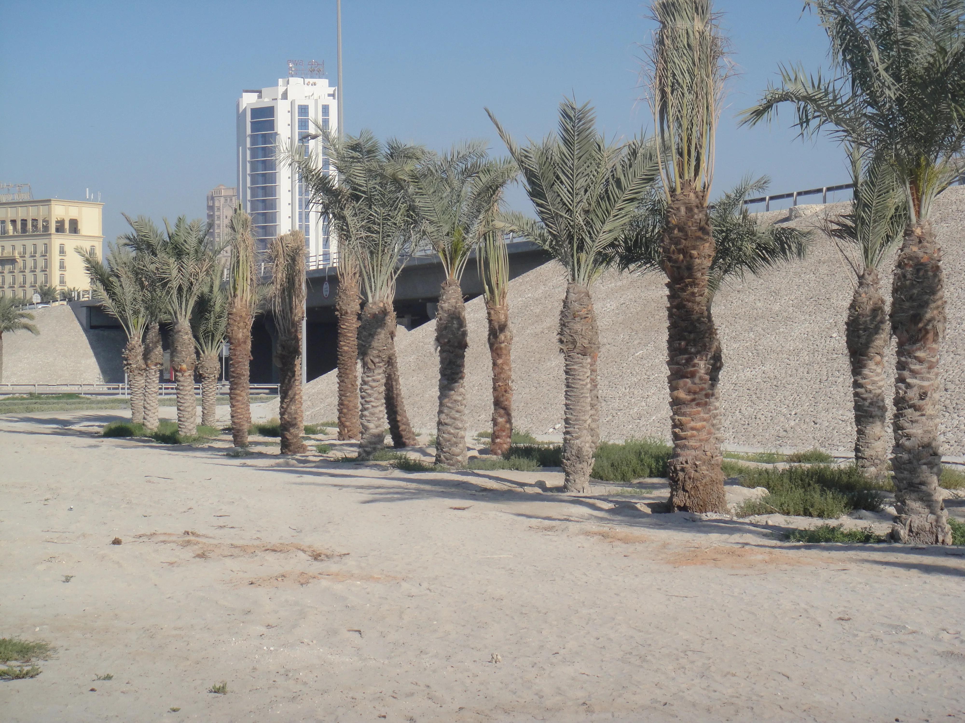 作为奢华代名词的迪拜,迪拜与香港对比