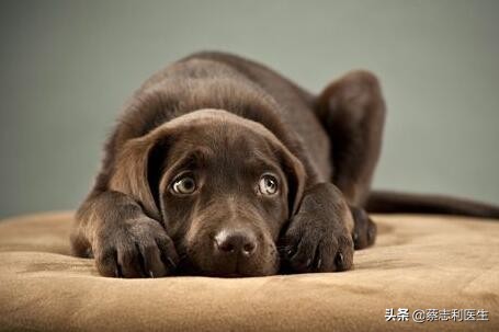 解决恐惧症最好方法,得了恐惧症该如何治