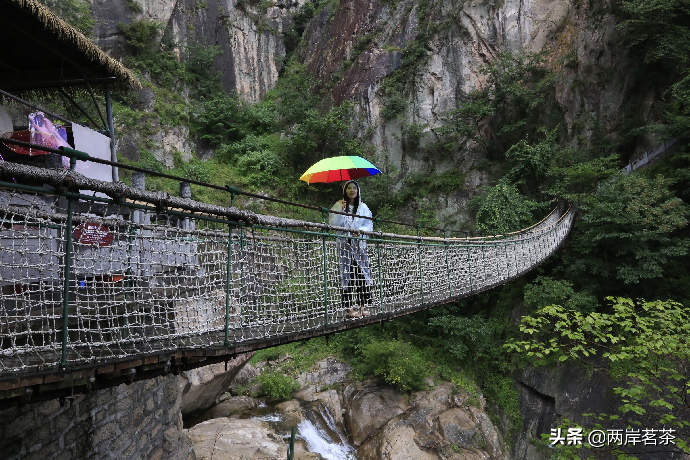 再看白云山，看山不是山，它是一本百读不厌的百科全书
