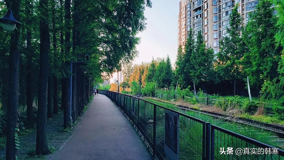 中成智谷：一个昔日辉煌的援外仓库是不断迭代升级与时代共舞的