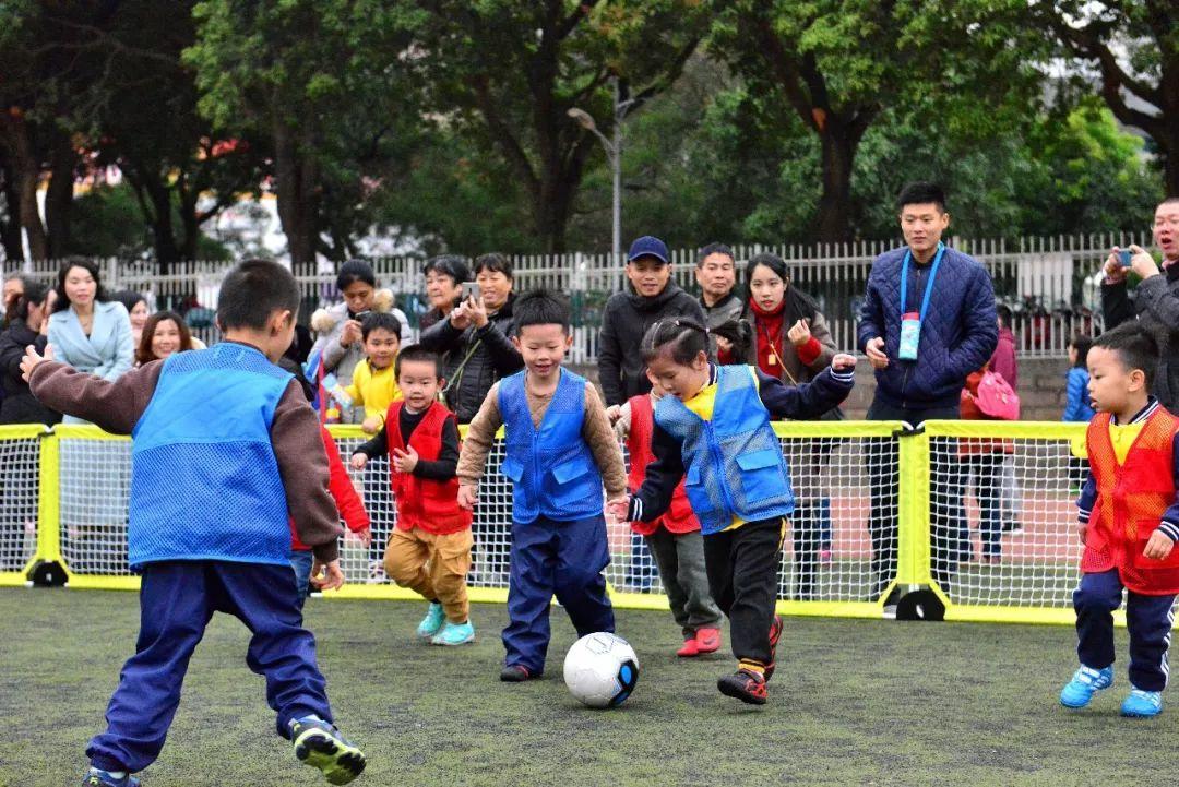 派迪茵体育有限公司,派迪茵体育直播