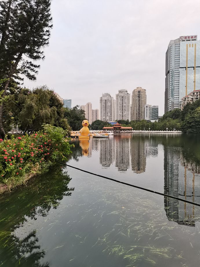 荔枝公园深圳,深圳第一公园荔枝公园