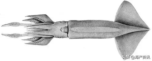 硬核科普全部,硬核科普大全视频