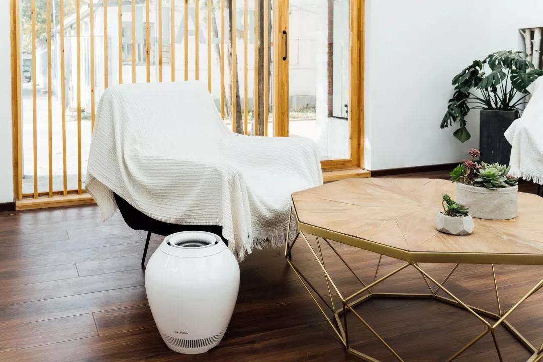 日本殿堂级加湿器:无雾无菌,净化空气,重新定义空气湿度的意义