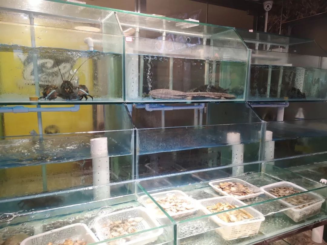 众多美味等你来吃,还等什么!仅88元抢贵阳潮汇利源海鲜酒楼套餐