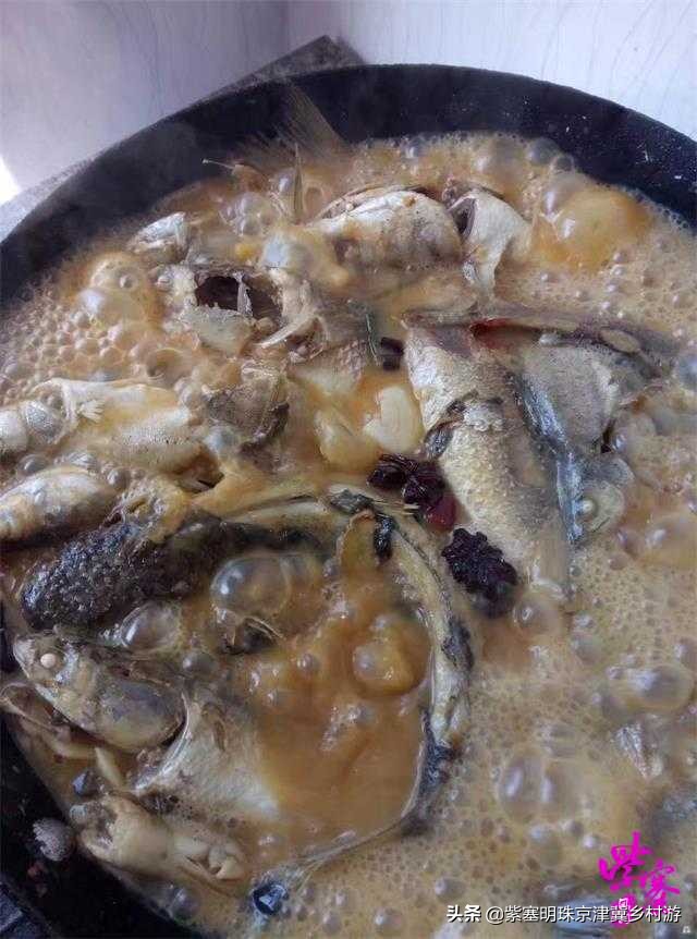 人间六月天，来海岛许一场似水流年——唐山乐亭韩姐农家院