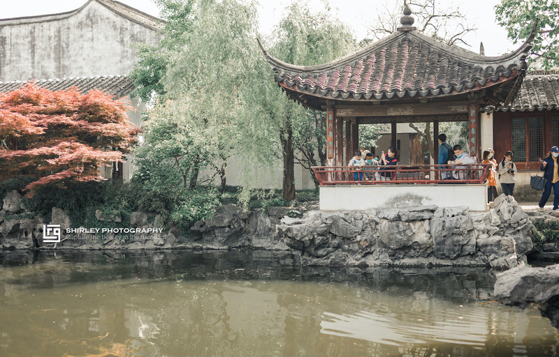 苏州旅游最不能错过的江南园林,留园拙政园是苏州著名的园林