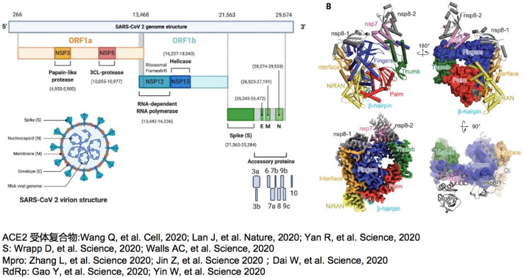 中医科学院任丽丽,任丽丽