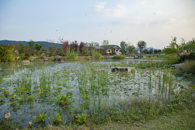 春有百花秋有月景点在哪,九龙湾花彩小镇醉美公园