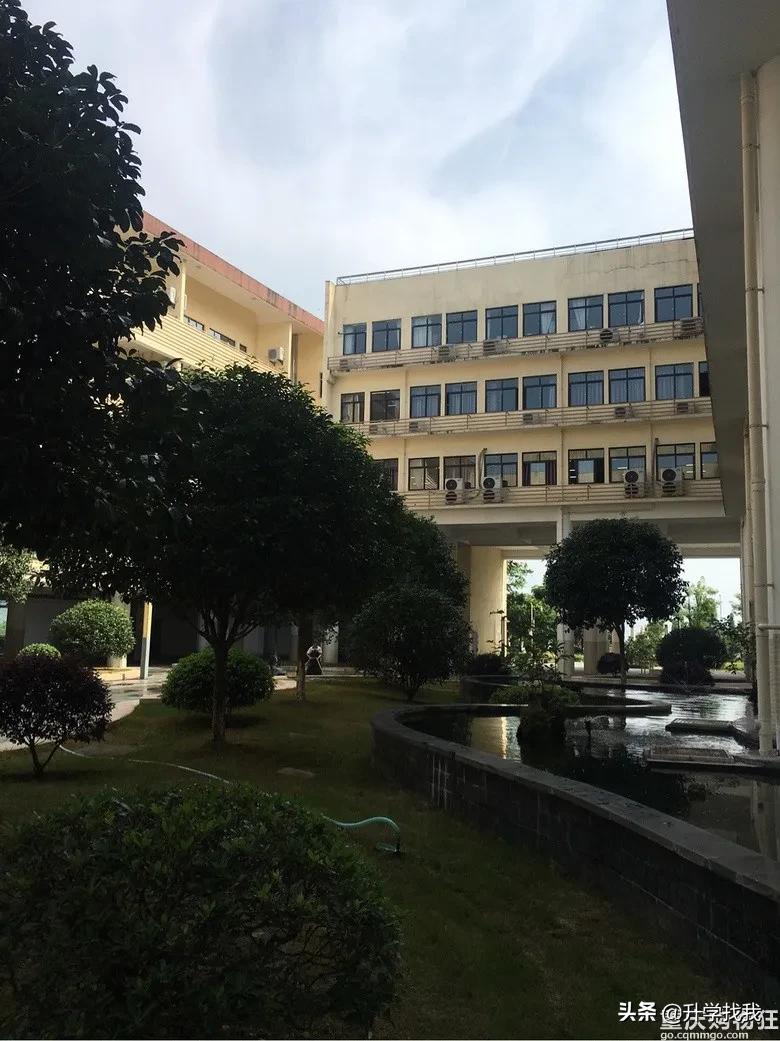 重庆这所中学堪称“低进高出”的典范,升本率高达38%