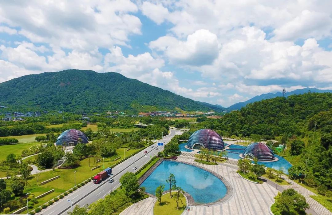 请转告全国白衣战士，从化有一份特别的礼物送给你们！