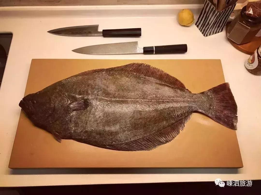 海捕常见海鱼,东海海鱼图片和名称大全