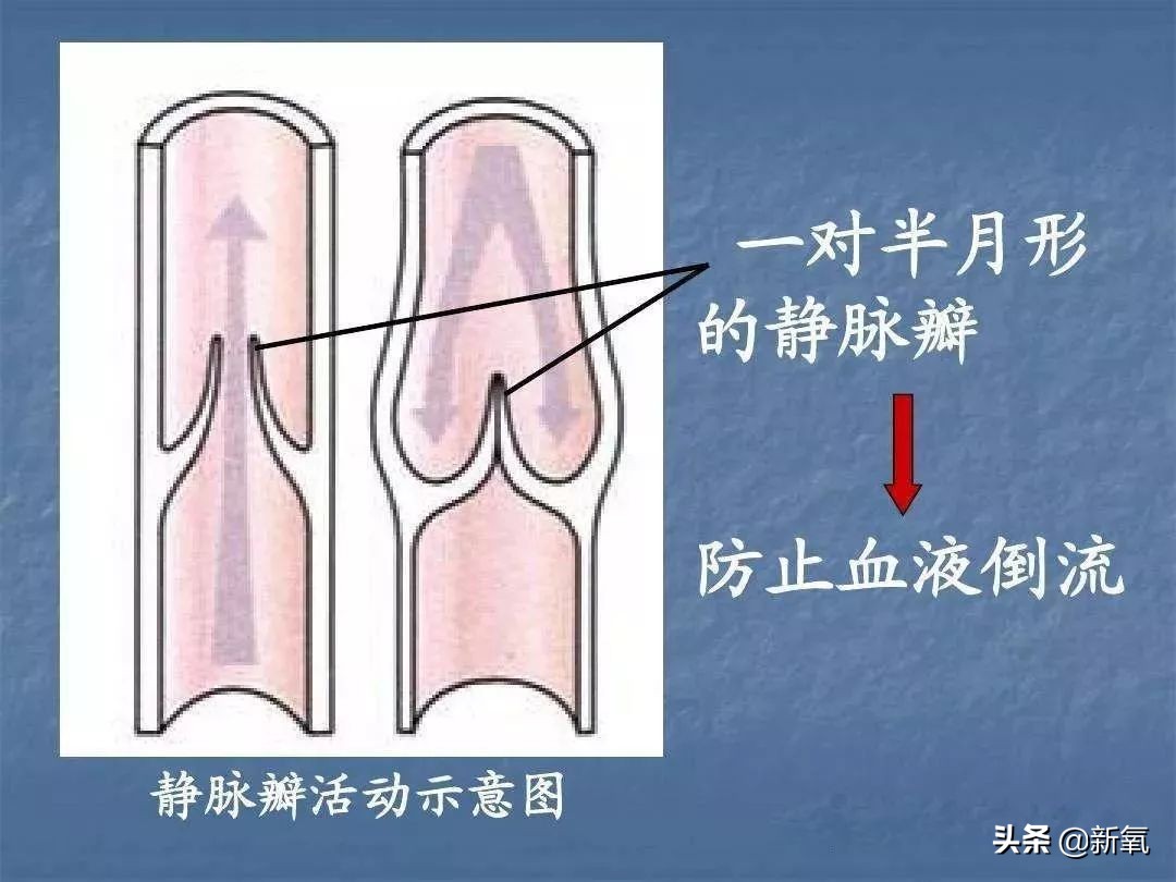 娜扎长筒袜,娜扎瘦腿袜