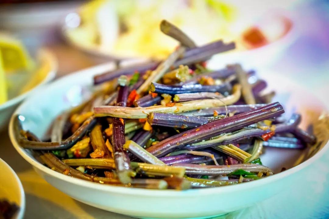 春节游玩打卡攻略,新年旅游攻略全国