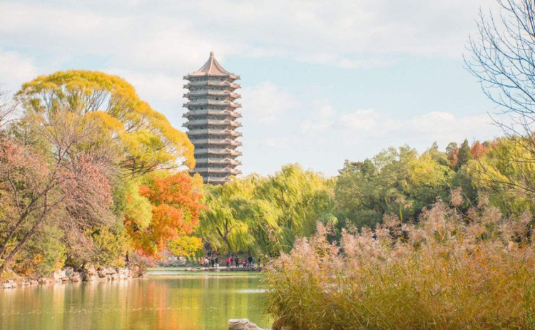 法硕择校——北京大学法律硕士录取数据分析