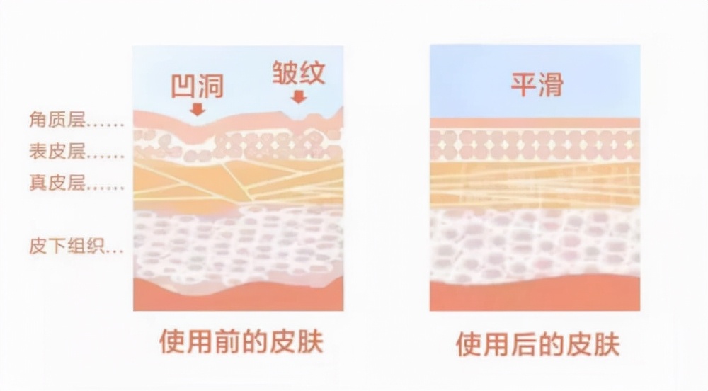 vitalorga菲洛嘉价格,vitalorga菲洛嘉