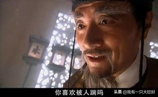 怪侠一枝梅虐心,怪侠一枝梅感情解析