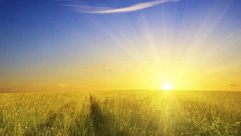 初等教育,小学初等教育