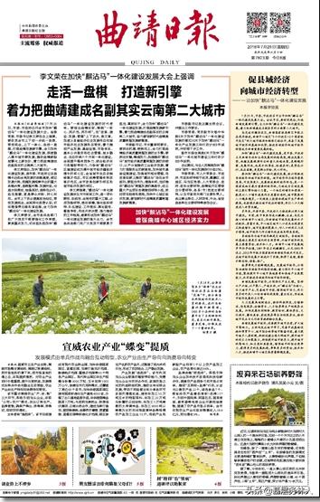 林权证遗失去哪里补办,2023年林权证遗失了怎么补办