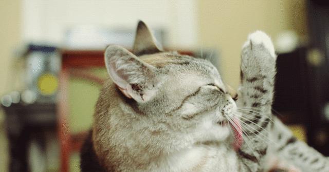 这4款网红家居用品劝你慎买,不踩坑好物